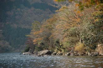 NRT Hakone - Ashino-ko lake with colourful autumn leaves on trees 01 3008x2000