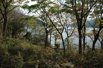 NRT Hakone - Ashino-ko lake with colourful autumn leaves on trees 02 3008x2000