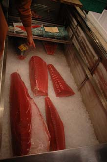 NRT Tokyo - Tsukiji Fish Market fresh pieces of tuna in refrigerator 3008x2000