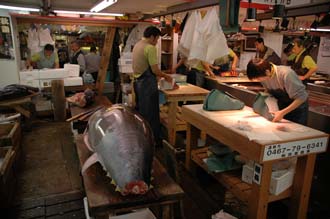 NRT Tokyo - Tsukiji Fish Market packaging of tuna pieces for sushi and sashimi  production and big whole tuna 3008x2000