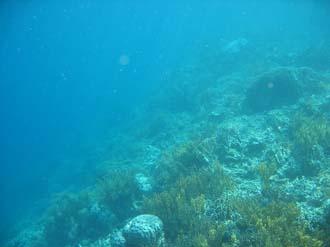 BMU Komodo Island Pulau Sabola Besar Island snorkelling underwater picture corals and fishes 3 2272x1704
