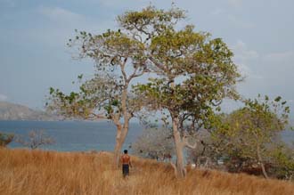 BMU Komodo Island Pulau Sabola Besar Island walk to island peak 18 3008x2000