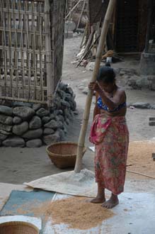 AMI Lombok Karangbayan traditional Sasak village threshing rice 3008x2000