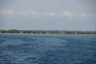 AMI Lombok Ombak Putih sailing ship mangrove forest near Gili Lampu Island 3008x2000