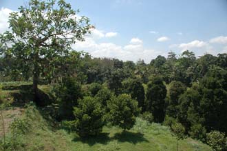 AMI Lombok Taman Narmada Park Water Palace surrounding fields with trees 3008x2000