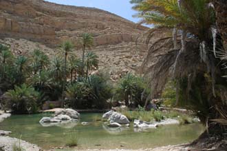 MCT Wadi Bani Khalid - waterhole with palm trees and famed for its natural beauty 3008x2000