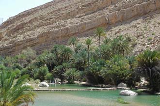 MCT Wadi Bani Khalid - waterhole with palm trees and rocky mountain background 3008x2000