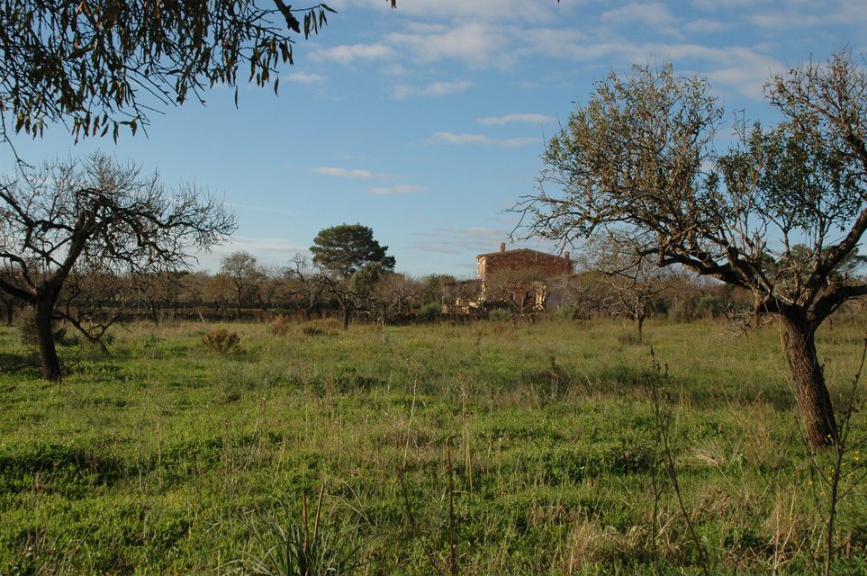 PMI Mallorca - Cala Millor - street to nearby villages - landscape 3008x2000