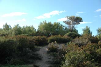 PMI Mallorca - Cala Millor - Es Cubells protected area 3008x2000