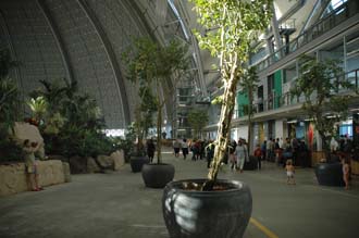 TGL Tropical Islands Resort Krausnick Brand entrance area with tropical plants 3008x2000