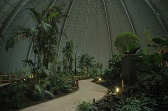 TGL Tropical Islands Resort Krausnick Brand tropical rainforest walking path 03 3008x2000