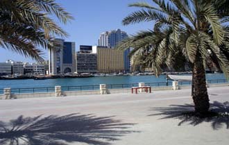 DXB Dubai creek - Bur Dubai promenade with palm-trees 5340x3400