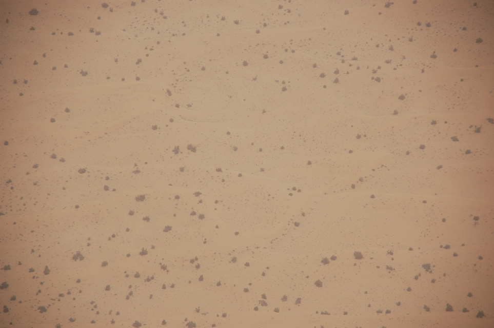 DXB Dubai from aircraft - desert vegetation detail 3008x2000