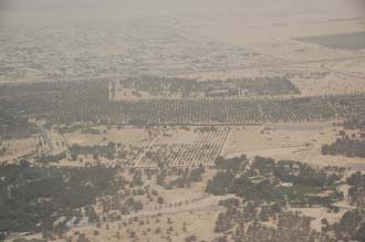 DXB Dubai from aircraft - outskirts with trees 01 3008x2000