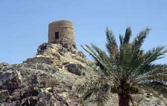 DXB Hatta Heritage Village - watchtower with palm-tree 5340x3400