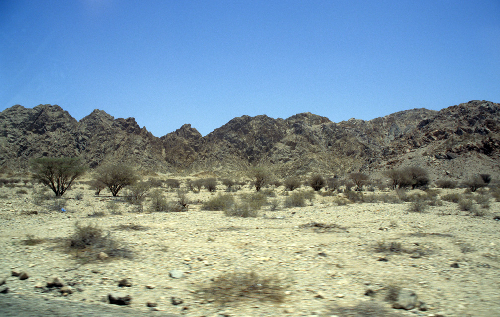 DXB Dubai - desert scenery on the highway between Dubai and Hatta 03 5340x3400