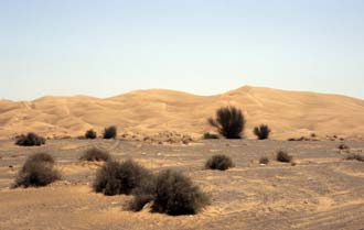 DXB Dubai - desert scenery on the highway between Dubai and Hatta 01 5340x3400