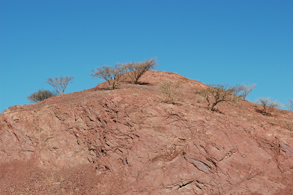 DXB Hatta - hilltop in red stone with desert vegetation 02 3008x2000