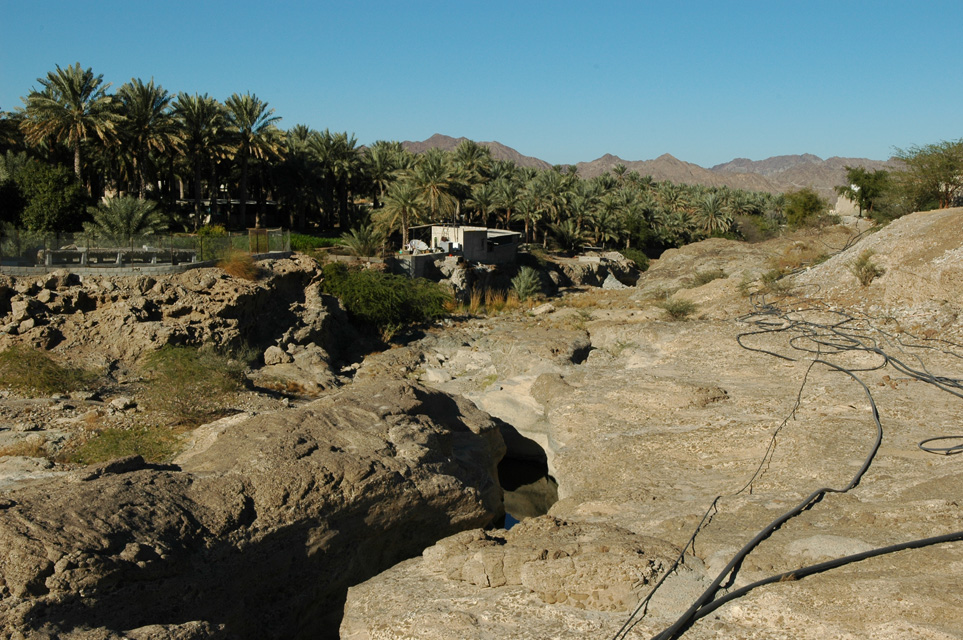 DXB Hatta - wadi in central Hatta with palm plantation and irrigation pipes 3008x2000