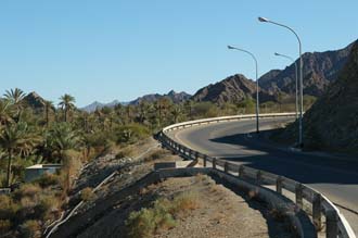 DXB Hatta - access roiad to Hatta with palm trees and Hajar mountains 3008x2000