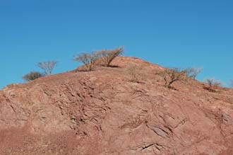 DXB Hatta - hilltop in red stone with desert vegetation 02 3008x2000