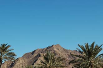 DXB Hatta - hilltop with palm trees in Hatta 3008x2000
