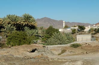 DXB Hatta - wadi with palm trees and mosque before a Hajar mountain backdrop 3008x2000