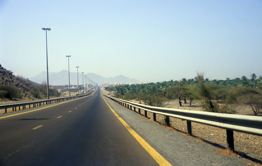 DXB Bidiya - street from Khor Fakkan to Bidiya with palm plantation 5340x3400