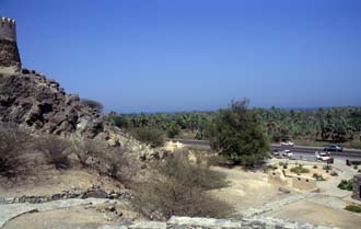 DXB Bidiya - Bidiya mosque panorama with watchtower and palm plantation 5340x3400