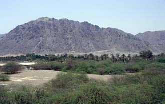 DXB Fujairah - Fujairah Fort view with palm plantation and Hajar mountains 01 5340x3400