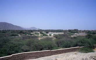 DXB Fujairah - Fujairah Fort view with palm plantation and Hajar mountains 02 5340x3400
